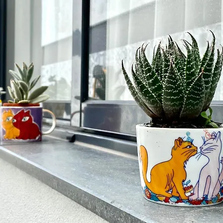 Iris House Al Azores Semesterbostad *