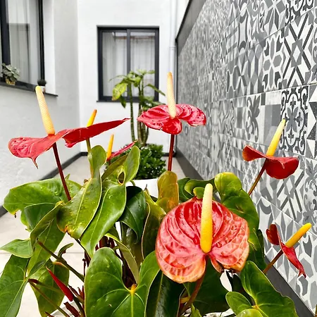 Holiday home Iris House Al Azores