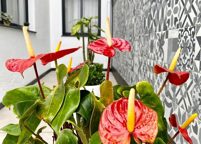 펜션 Iris House Al Azores